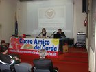 dsc09752.jpg
